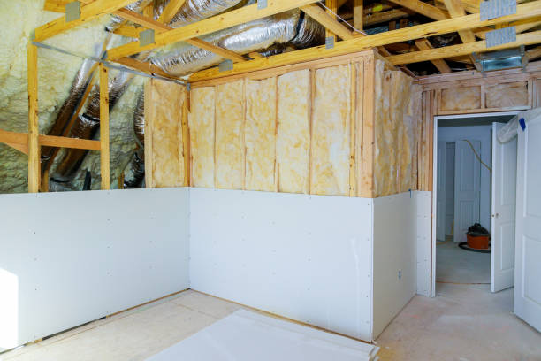 Best Insulation Replacement Services  in Cisco, TX