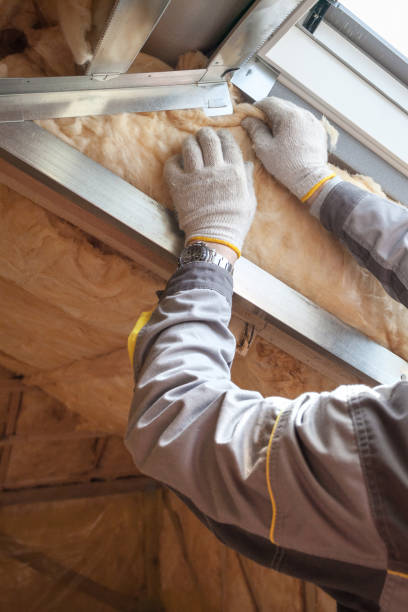 Best Attic Insulation Installation  in Cisco, TX