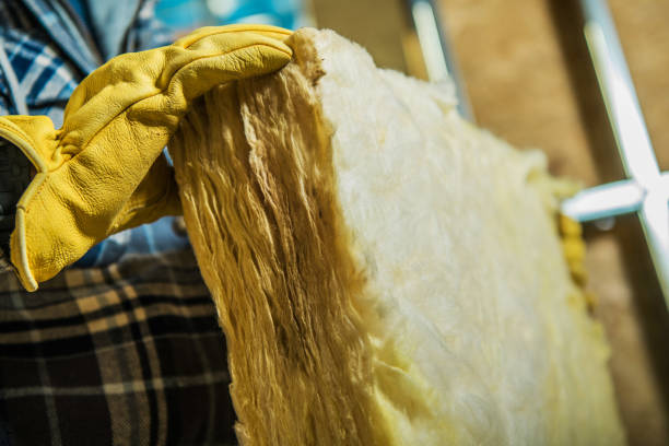 Best Insulation Contractors for Homes  in Cisco, TX