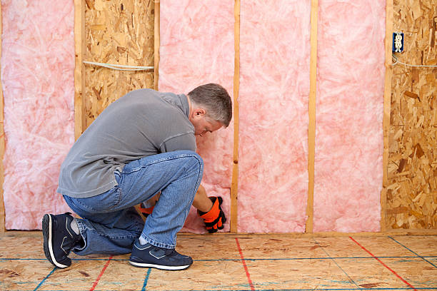 Best Attic Insulation Installation  in Cisco, TX