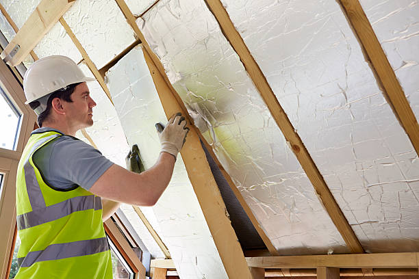 Best Local Insulation Services  in Cisco, TX